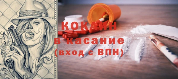 ECSTASY Богородицк